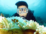 Bauan Batangas Diver with Clownfish 2