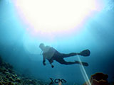 Bauan Batangas Pinnacle Diver