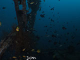 Boracay Camia Shipwreck 9