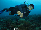 Boracay Reef 4