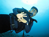 Boracay Reef 5