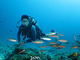 Boracay Reef Fish 2