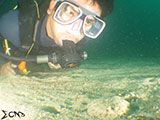 Sabang Puerto Galera Flounder