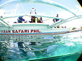 Ocean Safari Philippines 1