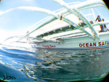 Ocean Safari Philippines