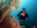Bauan Batangas Corals 19