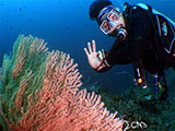 Bauan Batangas Corals 21