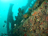 Subic Bay Wreck Diving 1