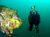 Subic Bay Wreck Diving 11