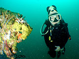 Subic Bay Wreck Diving 12