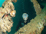 Subic Bay Wreck Diving 13