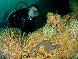 Subic Bay Wreck Diving 18