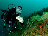 Subic Bay Wreck Diving 19