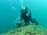 Subic Bay Wreck Diving 23