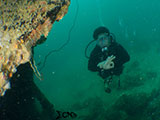 Subic Bay Wreck Diving 25