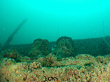 Subic Bay Wreck Diving 3