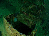 Subic Bay Wreck Diving 31