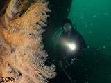 Subic Bay Wreck Diving 32