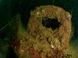 Subic Bay Wreck Diving 35