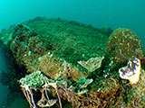 Subic Bay Wreck Diving 4