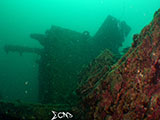 Subic Bay Wreck Diving 43
