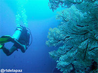 A photo of Tubbataha Reefs; captured using Canon IC16 Intova ISS 2000