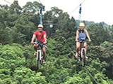 Sky cycling in Eden Nature Park