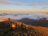 Sea of clouds in the summit of Mt. Pulag