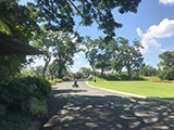 Alfonso Cavite Preziosa Botanic Resort 29