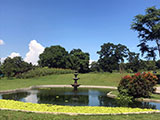 Alfonso Cavite Preziosa Botanic Resort 31