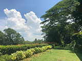 Alfonso Cavite Preziosa Botanic Resort 4