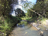 Balai Tanay River 10