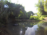Balai Tanay River 4