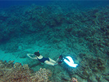 Freediving in Batangas 2