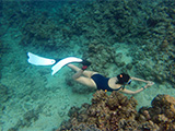 Freediving in Batangas 3