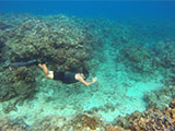 Freediving in Batangas 4
