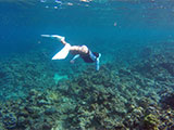 Freediving in Batangas 6