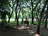 Cabuyao Laguna Sta Elena Fun Farm Horseback Riding 3