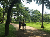 Cabuyao Laguna Sta Elena Fun Farm Horseback Riding 4