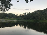 Ambuwaya Lake 1