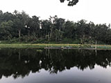 Ambuwaya Lake 2