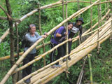 Talamitam Batangas Bamboo Bridge