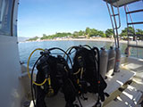 Olongapo Johans Beach and Dive Resort 38
