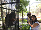 Pililla Rizal Lyger Animal Sanctuary 18