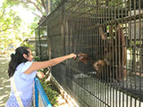 Pililla Rizal Lyger Animal Sanctuary 19