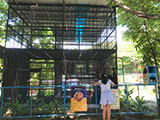 Pililla Rizal Lyger Animal Sanctuary 20