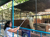 Pililla Rizal Lyger Animal Sanctuary 21