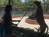 Pililla Rizal Lyger Animal Sanctuary 23