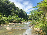 Pili Paninap Farm Sampaloc River 6