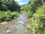 Pili Paninap Farm Sampaloc River 7